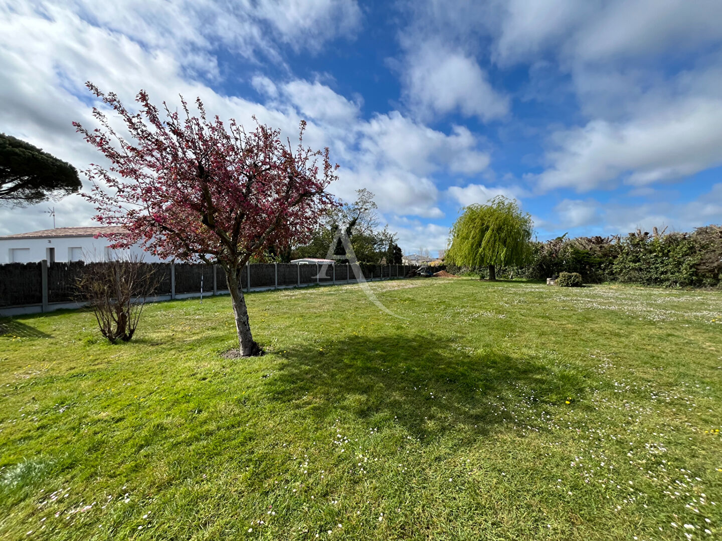 Agence immobilière de l'Adresse - La Barre de Monts