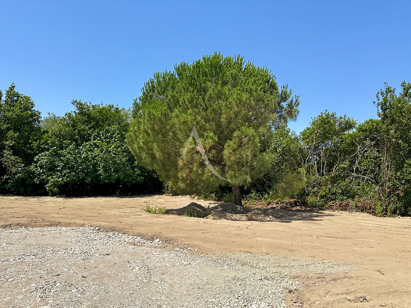 Agence immobilière de L'Adresse Agence de l'Esplanade - Agence de l'Esplanade