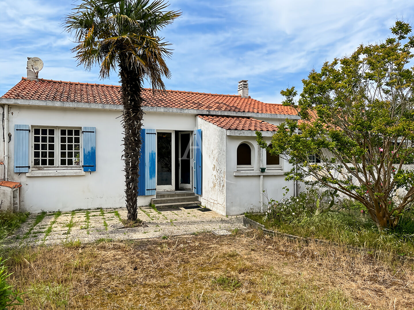 Agence immobilière de L'Adresse Agence de l'Esplanade - AGENCE DE L'ESPLANADE