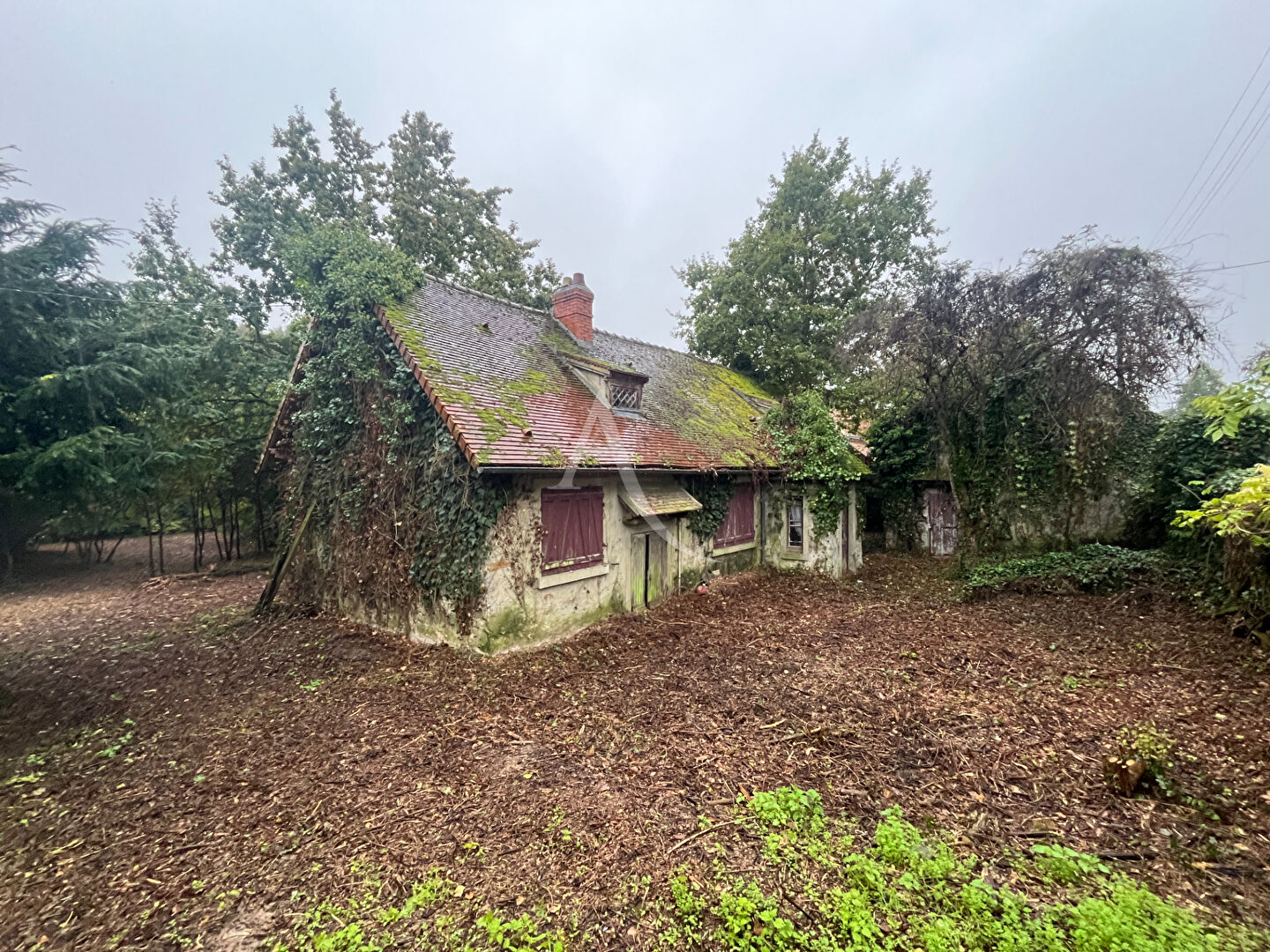 Agence immobilière de L'Adresse Agence du Donjon Dourdan - Agence du Donjon Dourdan