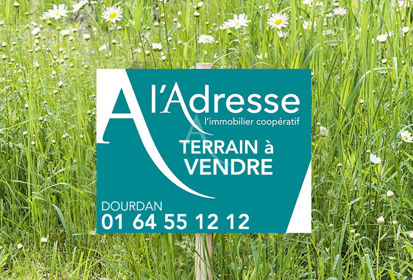 Agence immobilière de L'Adresse Agence du Donjon Dourdan - Agence du Donjon Dourdan