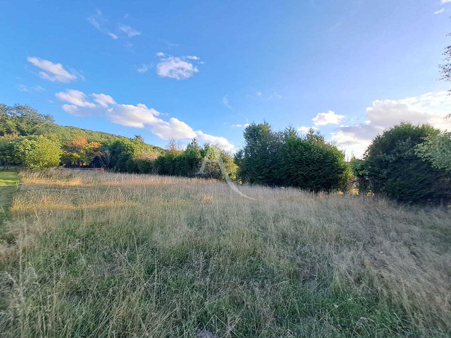 Photo Terrain Dourdan 777 m2 image 3/4