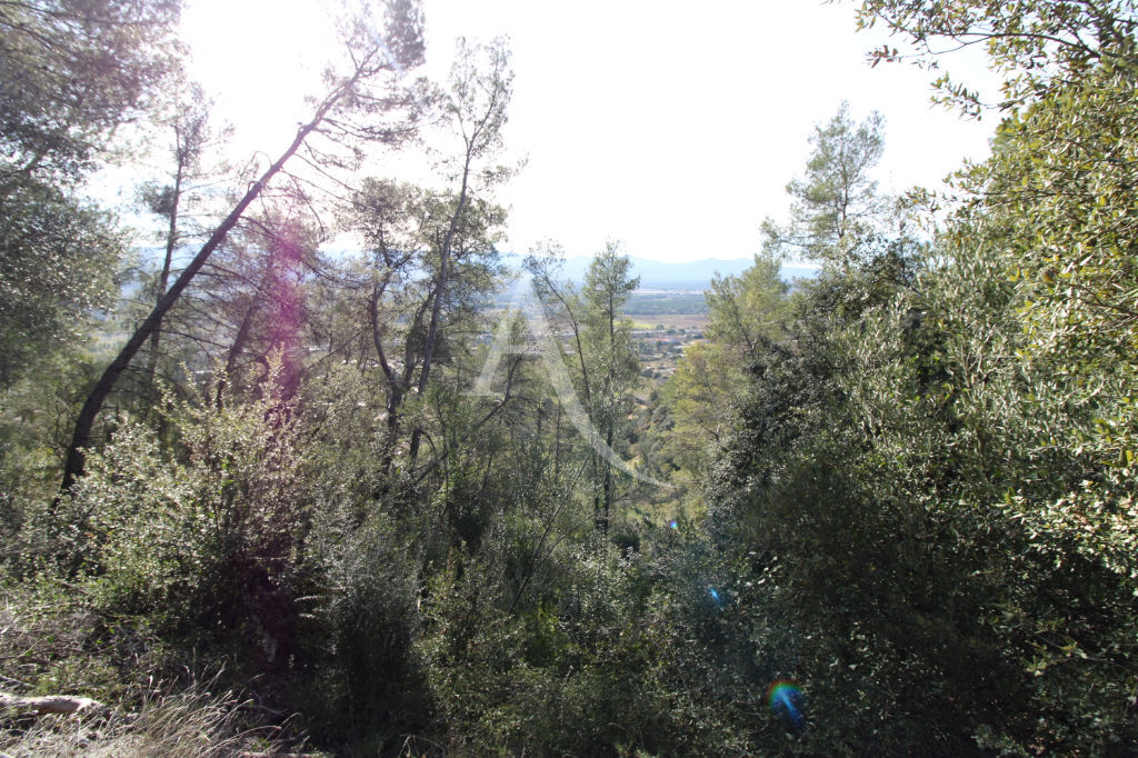 Photo Terrain non constructible image 3/3