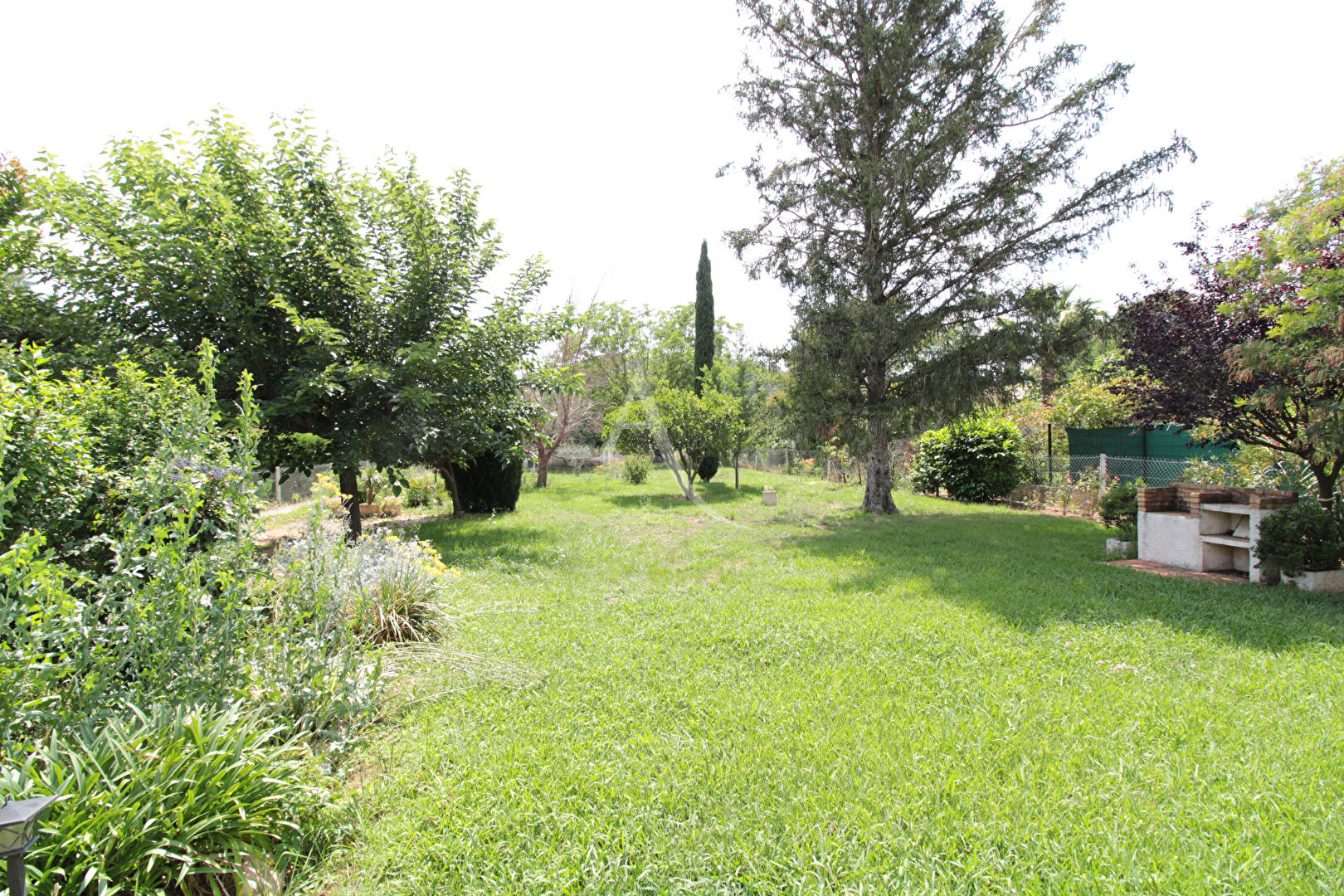 Photo PIERREFEU-DU-VAR : Maison T3 plain-pied  sur terrain plat de 2.299 m² en partie constructible image 4/6