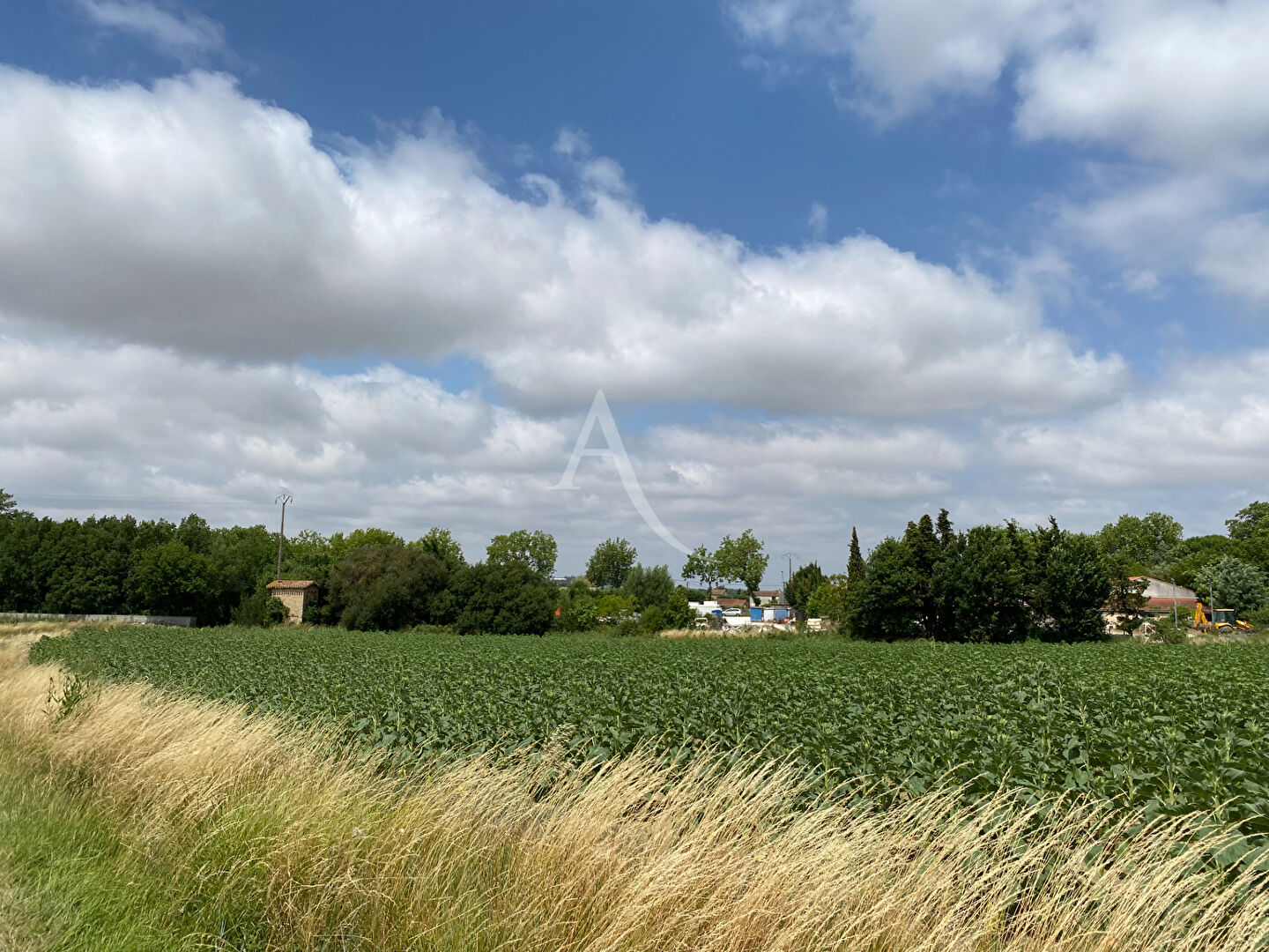 Agence immobilière de L'Adresse SIGNATURE EN LAURAGAIS - SIGNATURE EN LAURAGAIS