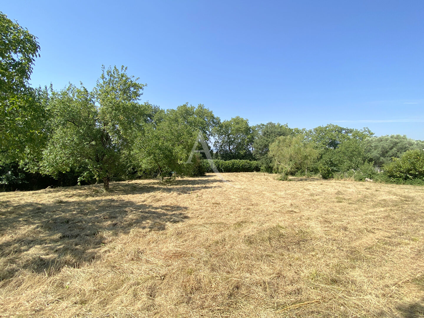 Agence immobilière de L'Adresse SIGNATURE EN LAURAGAIS - SIGNATURE EN LAURAGAIS