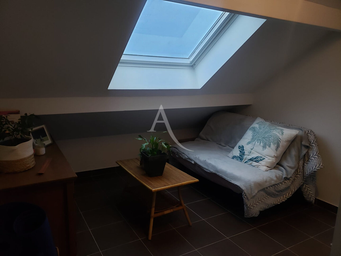 Photo DEUX PIECES MEUBLE de 31.58 m2 image 4/6