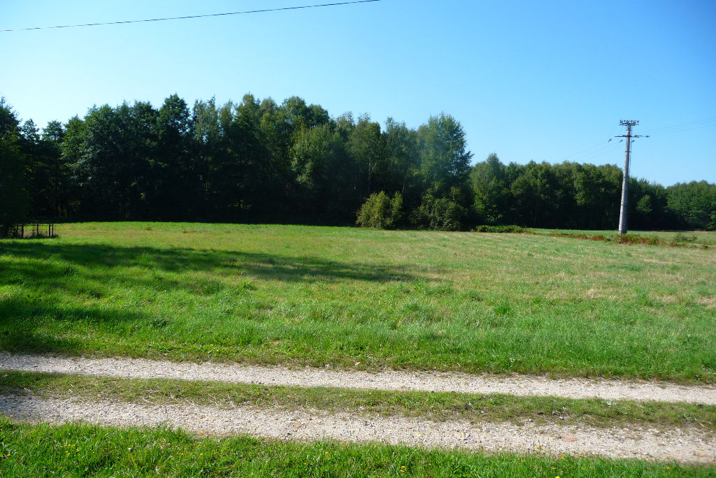 Photo MAGNIFIQUE PRAIRIE image 2/3