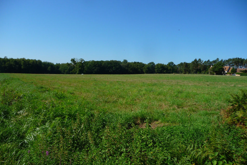 Photo MAGNIFIQUE PRAIRIE image 3/3