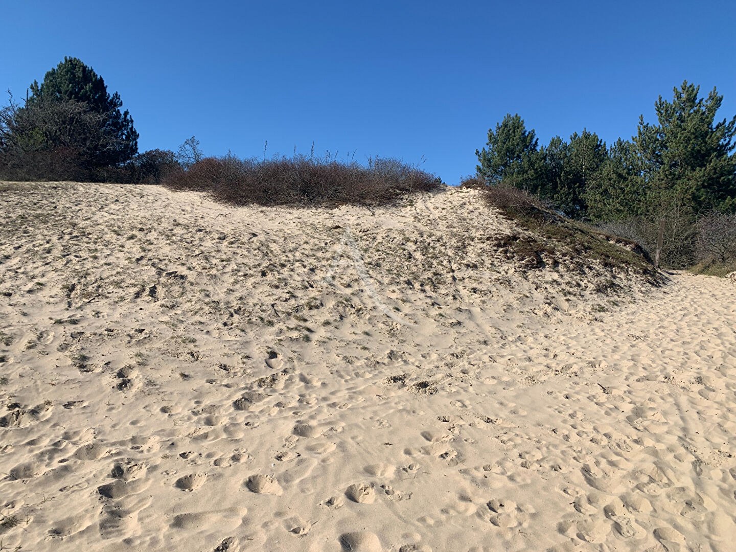 Photo Appartement Stella 3 pièces + cabine 73.30 m² image 3/3