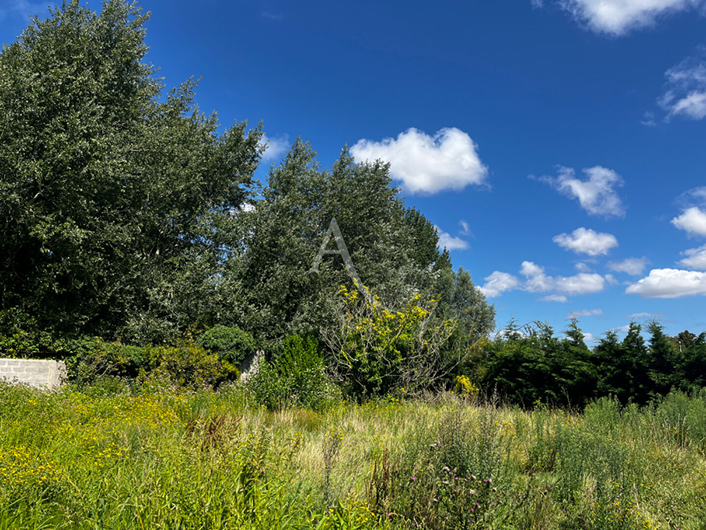 Terrain Cucq 608 m²