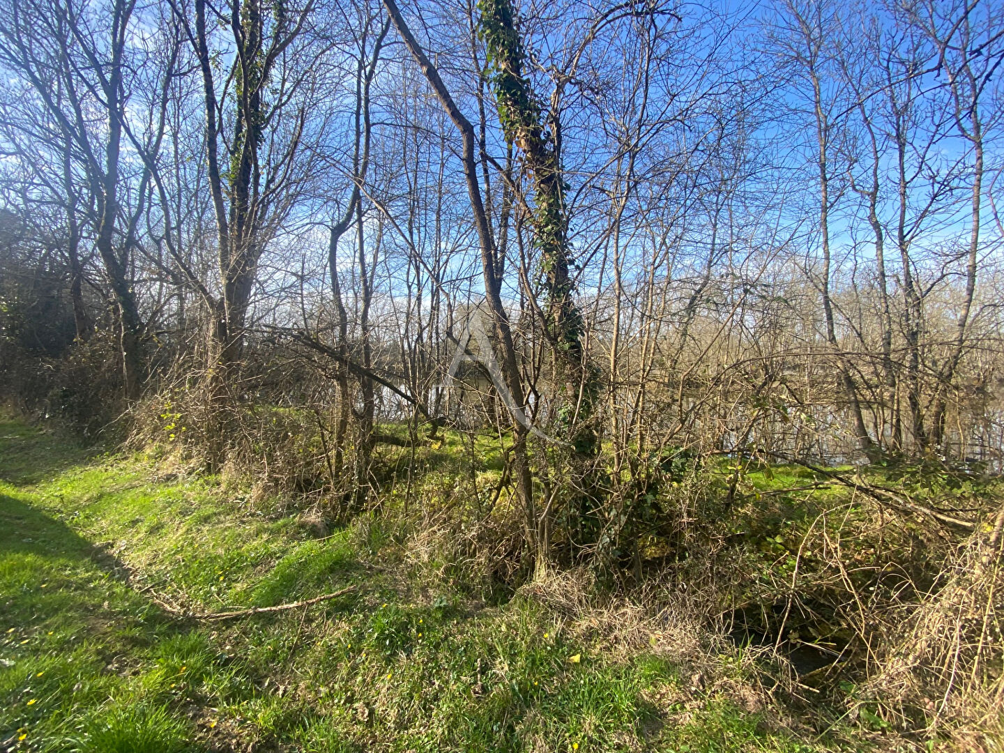 Photo Terrain de loisirs Avrille image 3/4