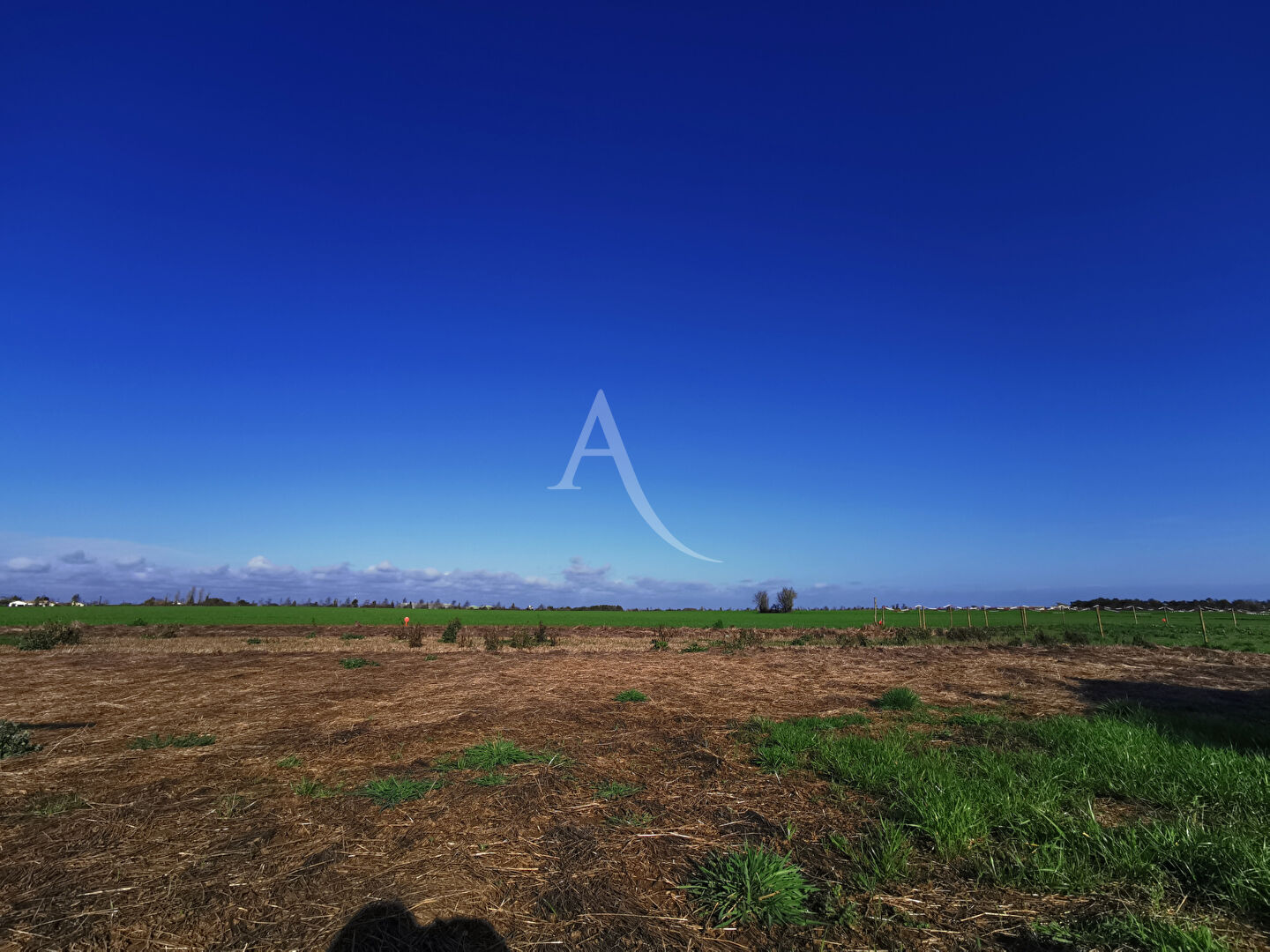 Terrain Talmont Saint Hilaire