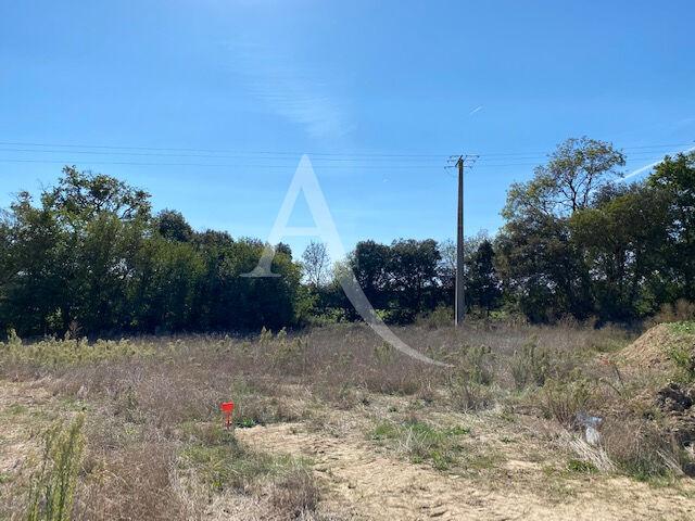 Photo Terrain Avrille 577 m2 image 1/3