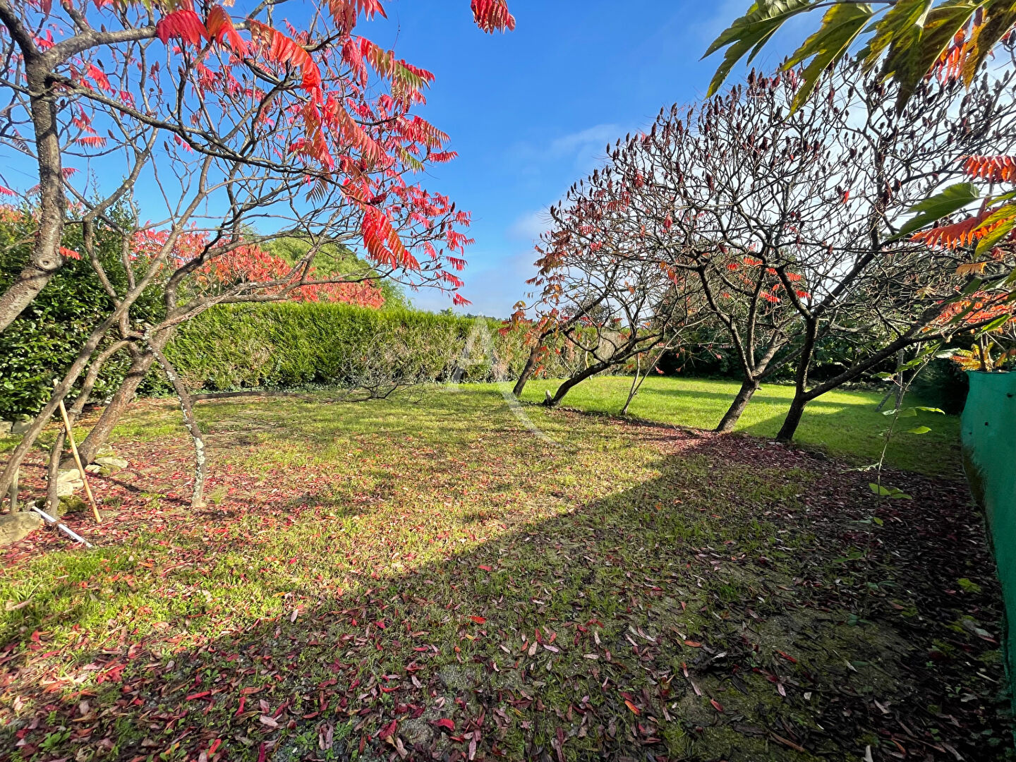 Photo Maison Saint Vincent Sur Jard 4 pièce(s) 75 m2 image 5/6