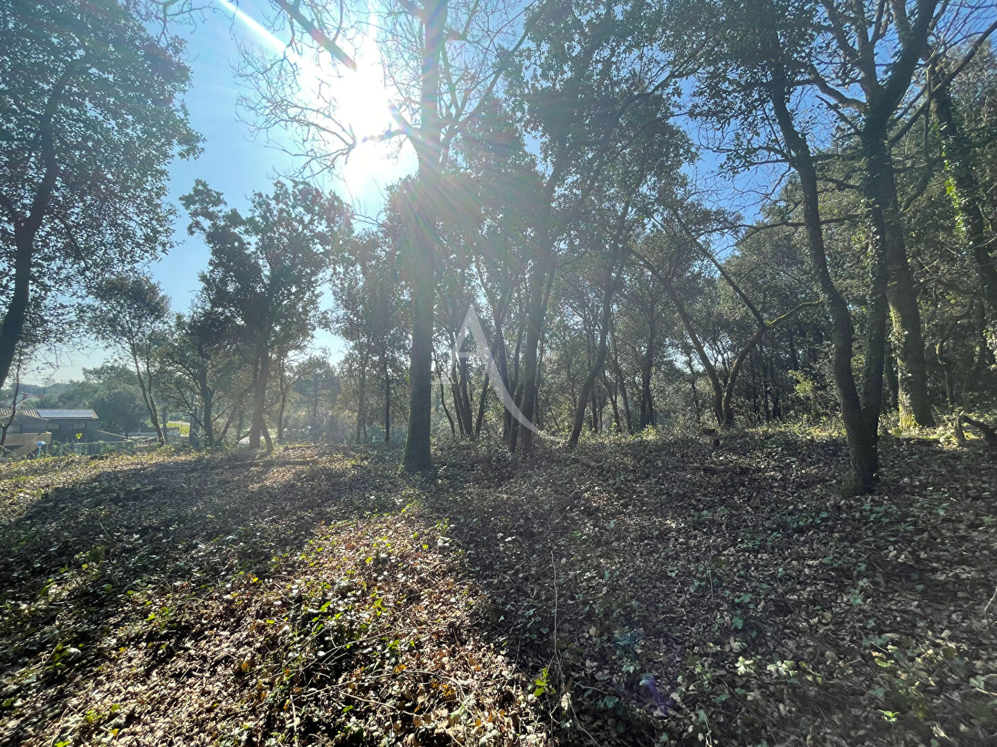 Photo Terrain Longeville Sur Mer 803m2 image 2/6