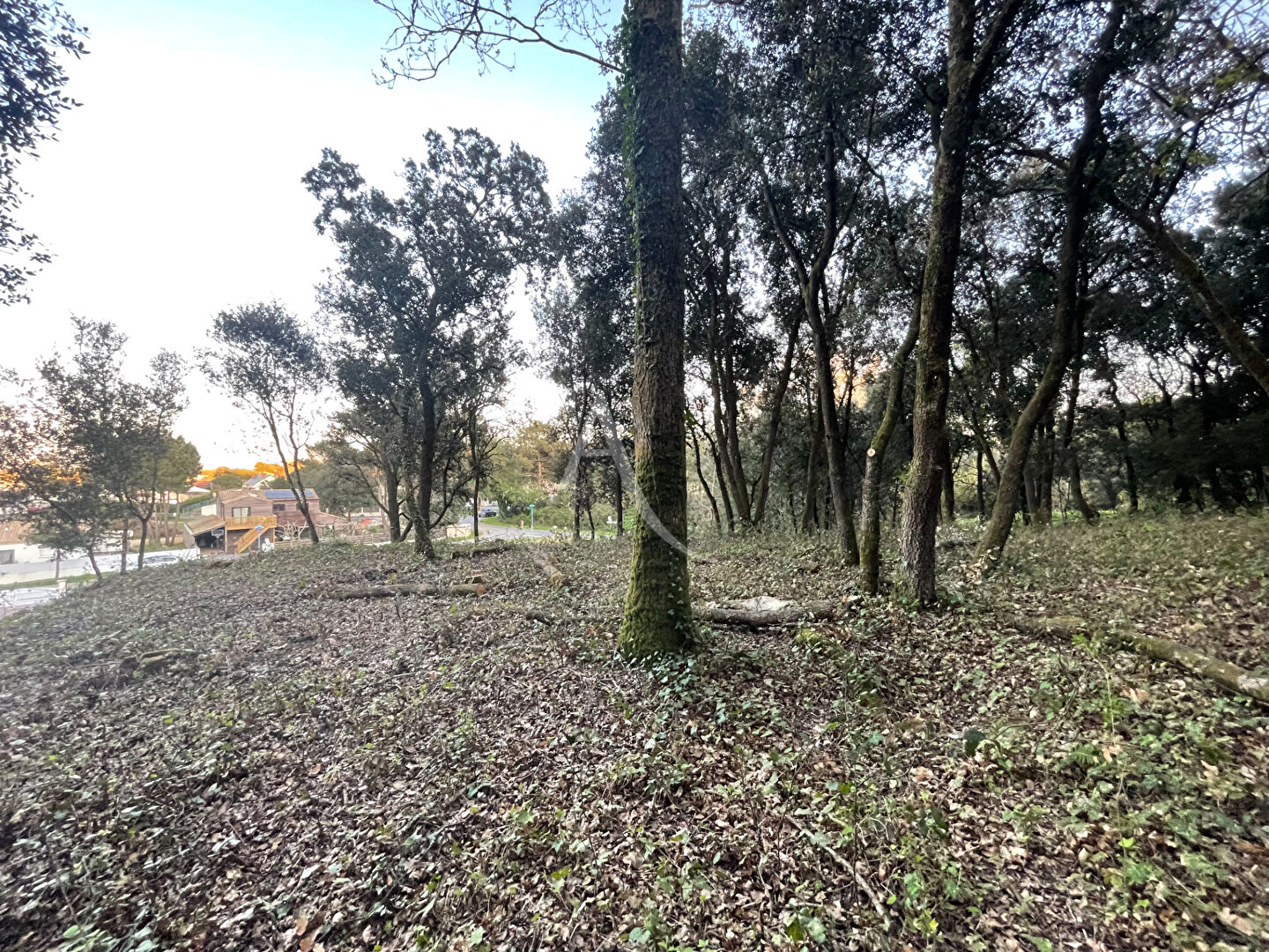 Photo Terrain Longeville Sur Mer 803m2 image 4/6