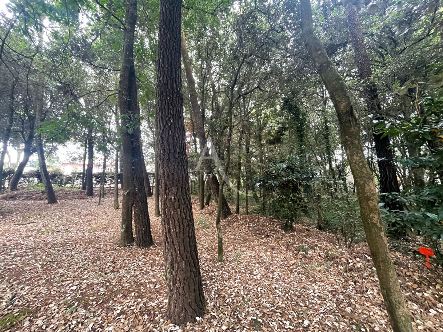 Terrain Saint Vincent Sur Jard 282m2