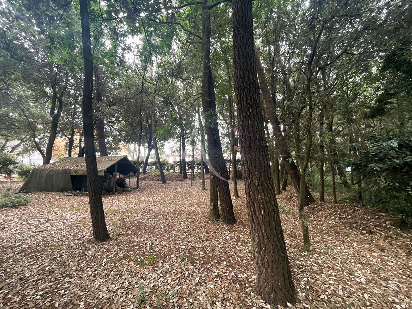 Photo Terrain Saint Vincent Sur Jard 282m2 image 2/2