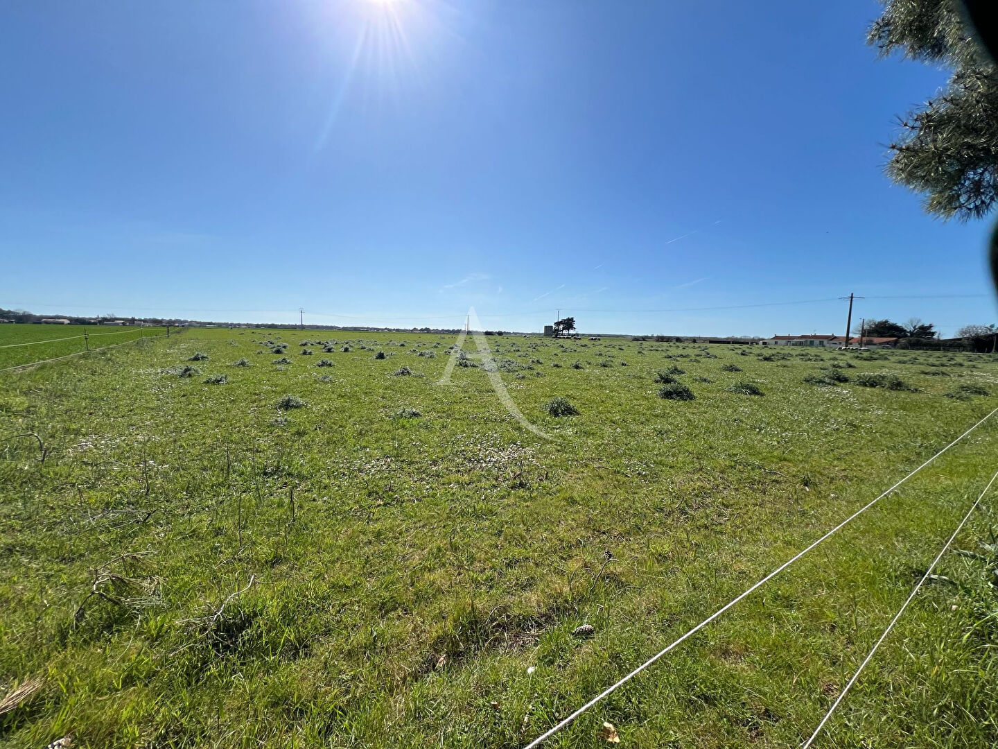 Photo Maison Longeville Sur Mer 5 pièce(s) image 3/6