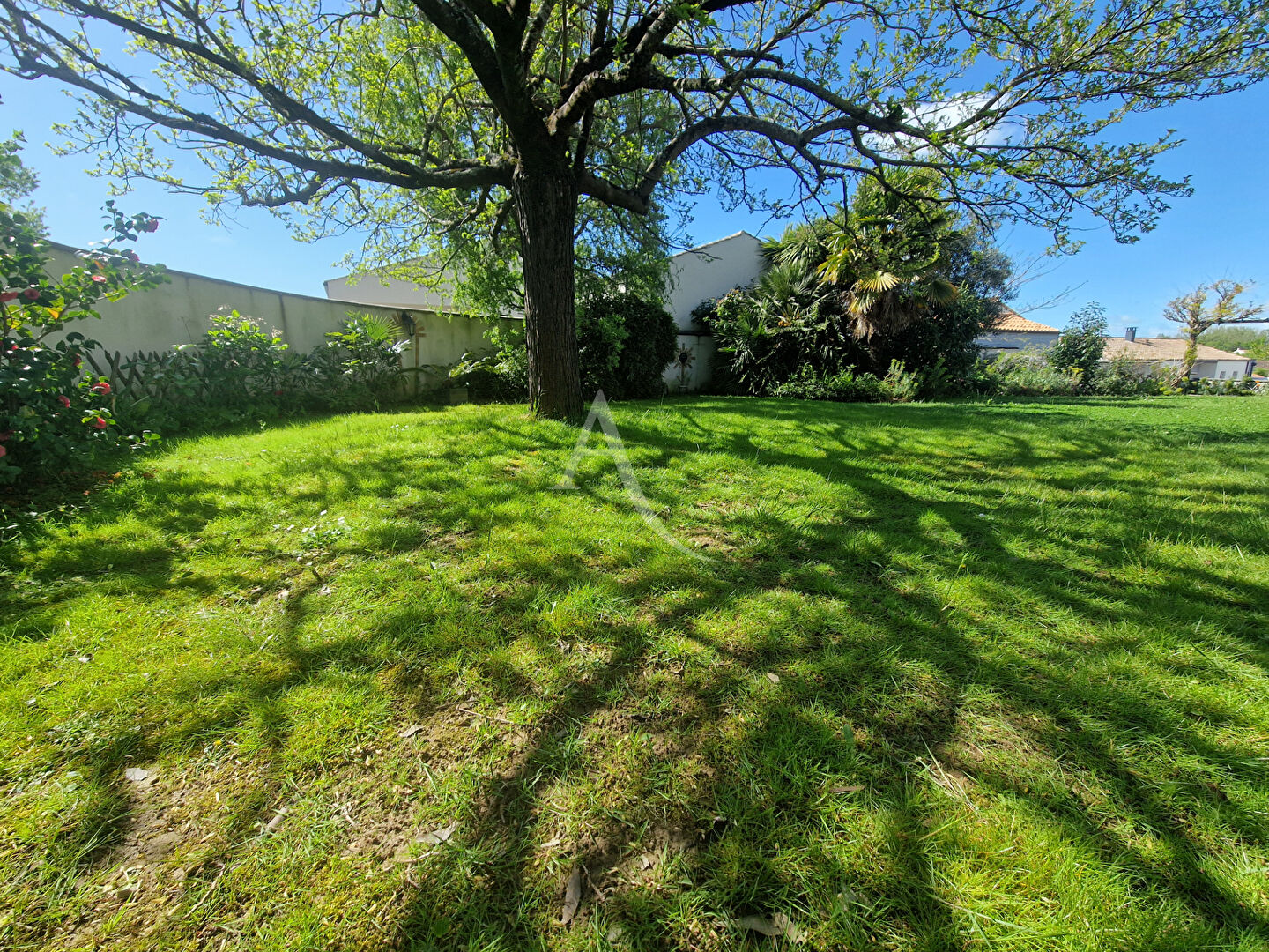 Photo Maison de Charme avec Grand Jardin à Talmont-Saint-Hilaire image 4/6