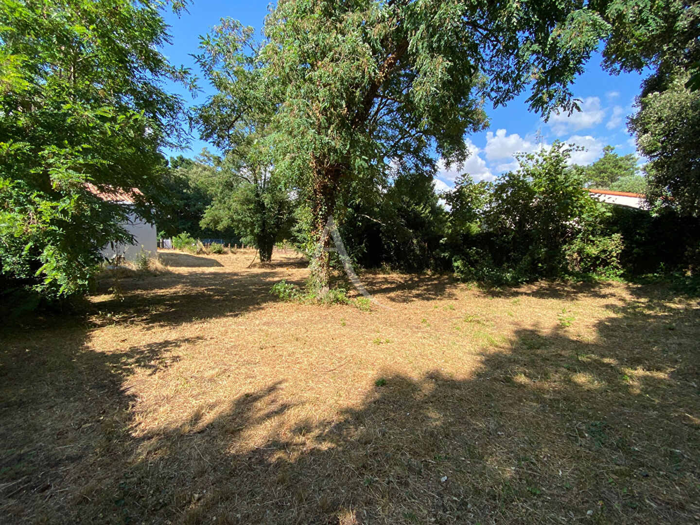 Terrain Sous les Pins Longeville Sur Mer 493 m2