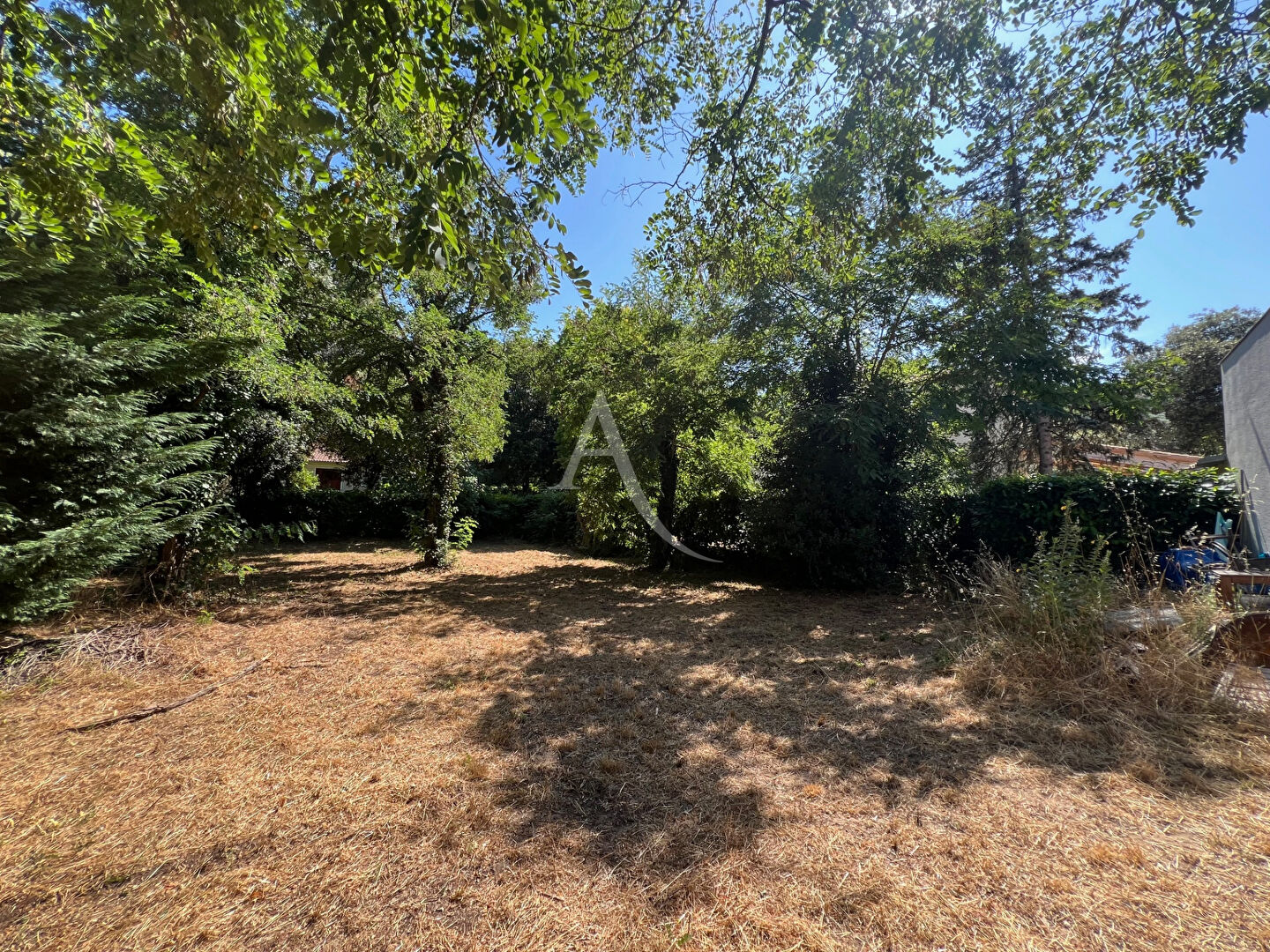 Photo Terrain Sous les Pins Longeville Sur Mer 493 m2 image 2/5