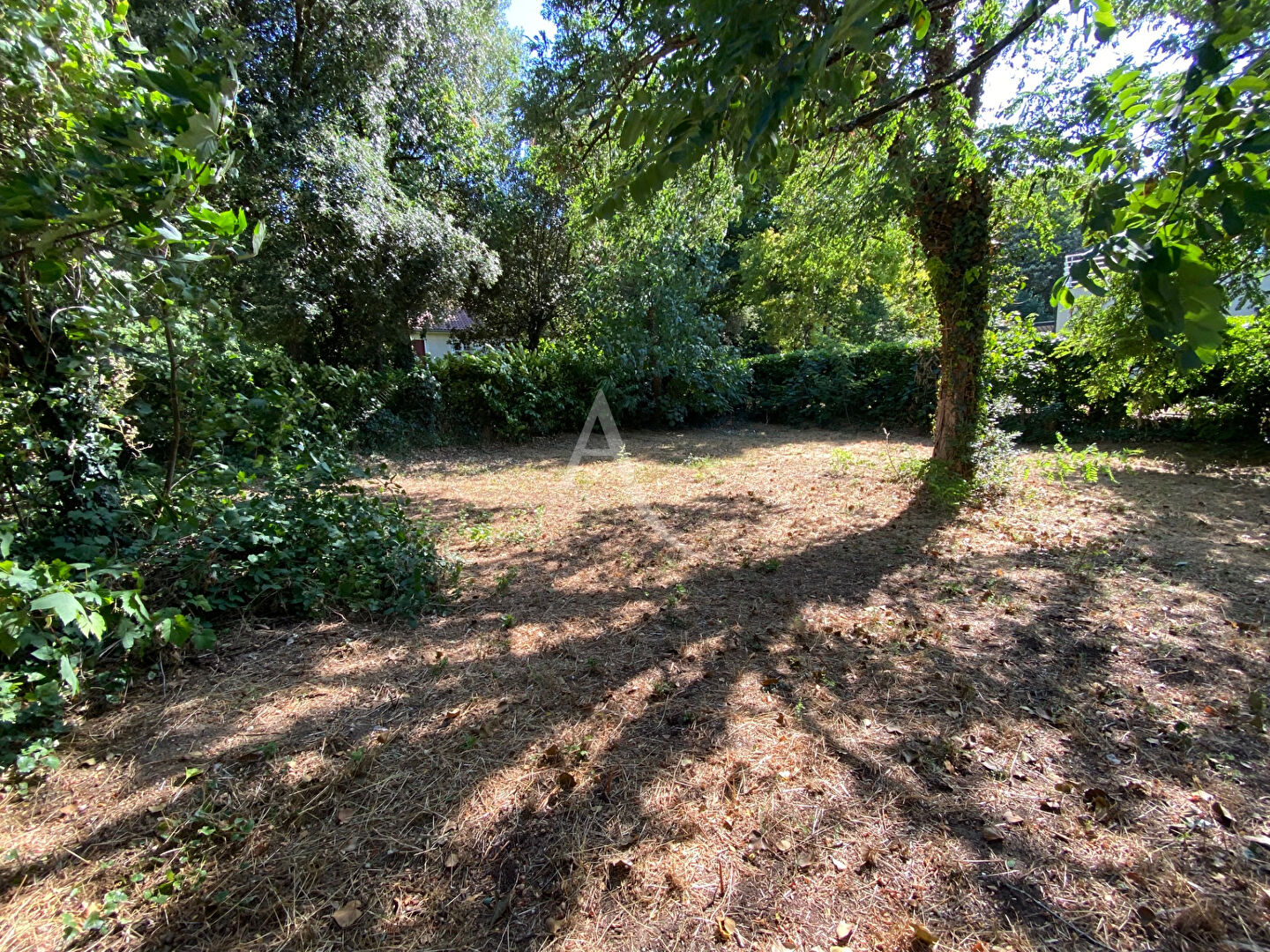 Photo Terrain Sous les Pins Longeville Sur Mer 493 m2 image 3/5