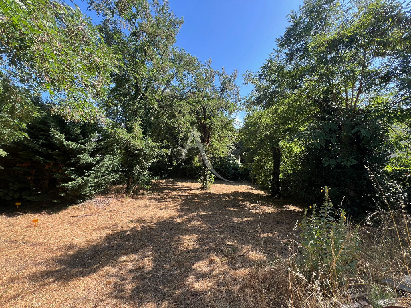 Photo Terrain Sous les Pins Longeville Sur Mer 493 m2 image 4/5