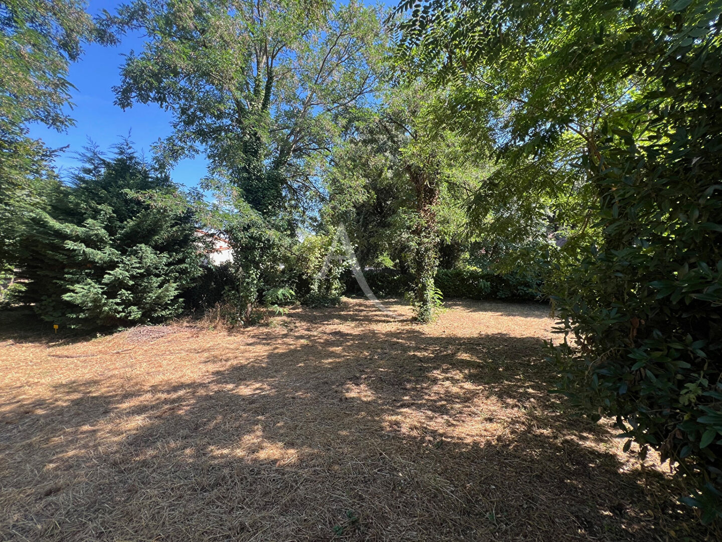 Photo Terrain Sous les Pins Longeville Sur Mer 493 m2 image 5/5