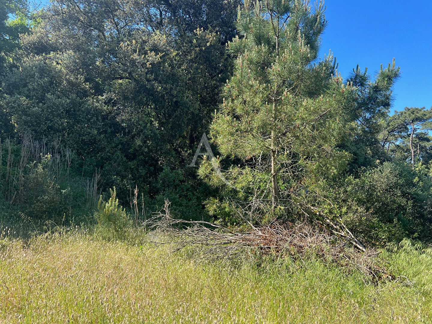 Terrain Longeville Sur Mer 375 m2