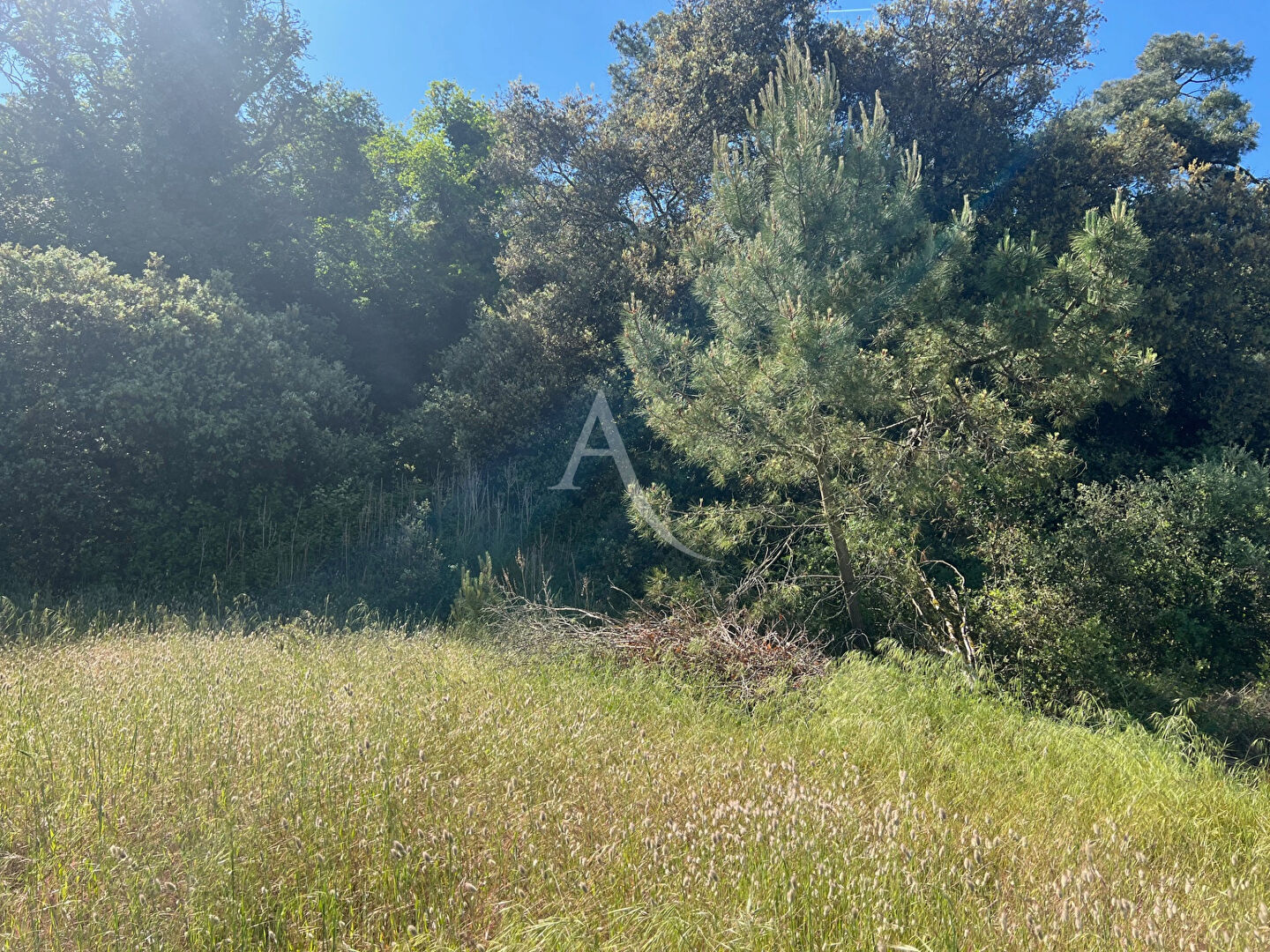 Photo Terrain Longeville Sur Mer 375 m2 image 2/3