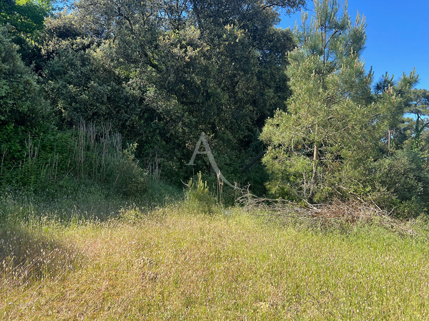 Photo Terrain Longeville Sur Mer 375 m2 image 3/3