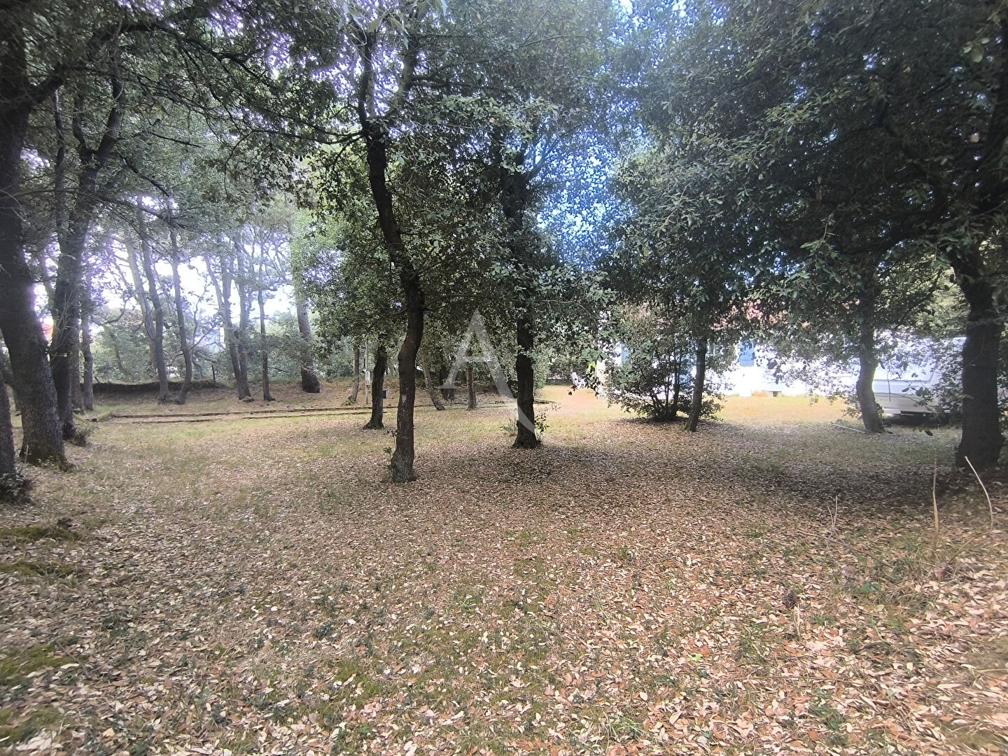 Photo Port de Bourgenay !Une propriété rare et d'exception image 3/6