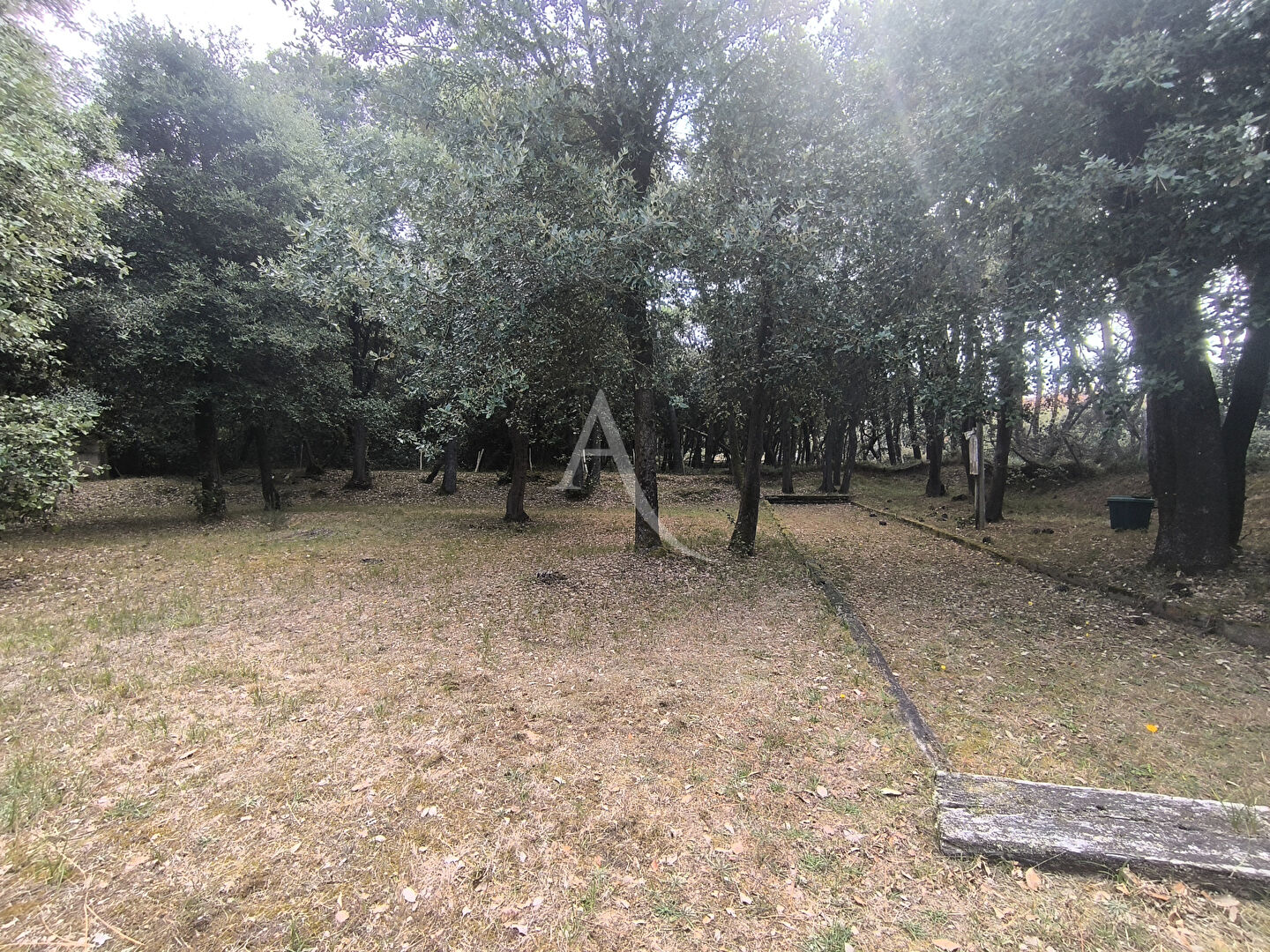 Photo Port de Bourgenay !Une propriété rare et d'exception image 4/6