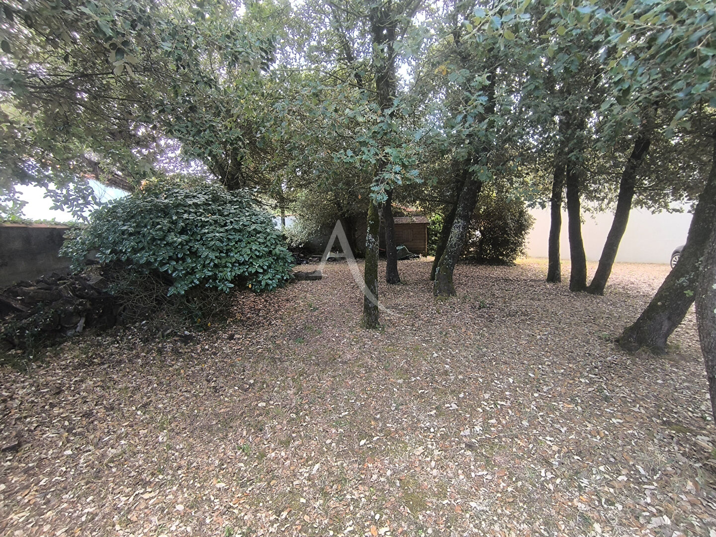 Photo Port de Bourgenay !Une propriété rare et d'exception image 5/6