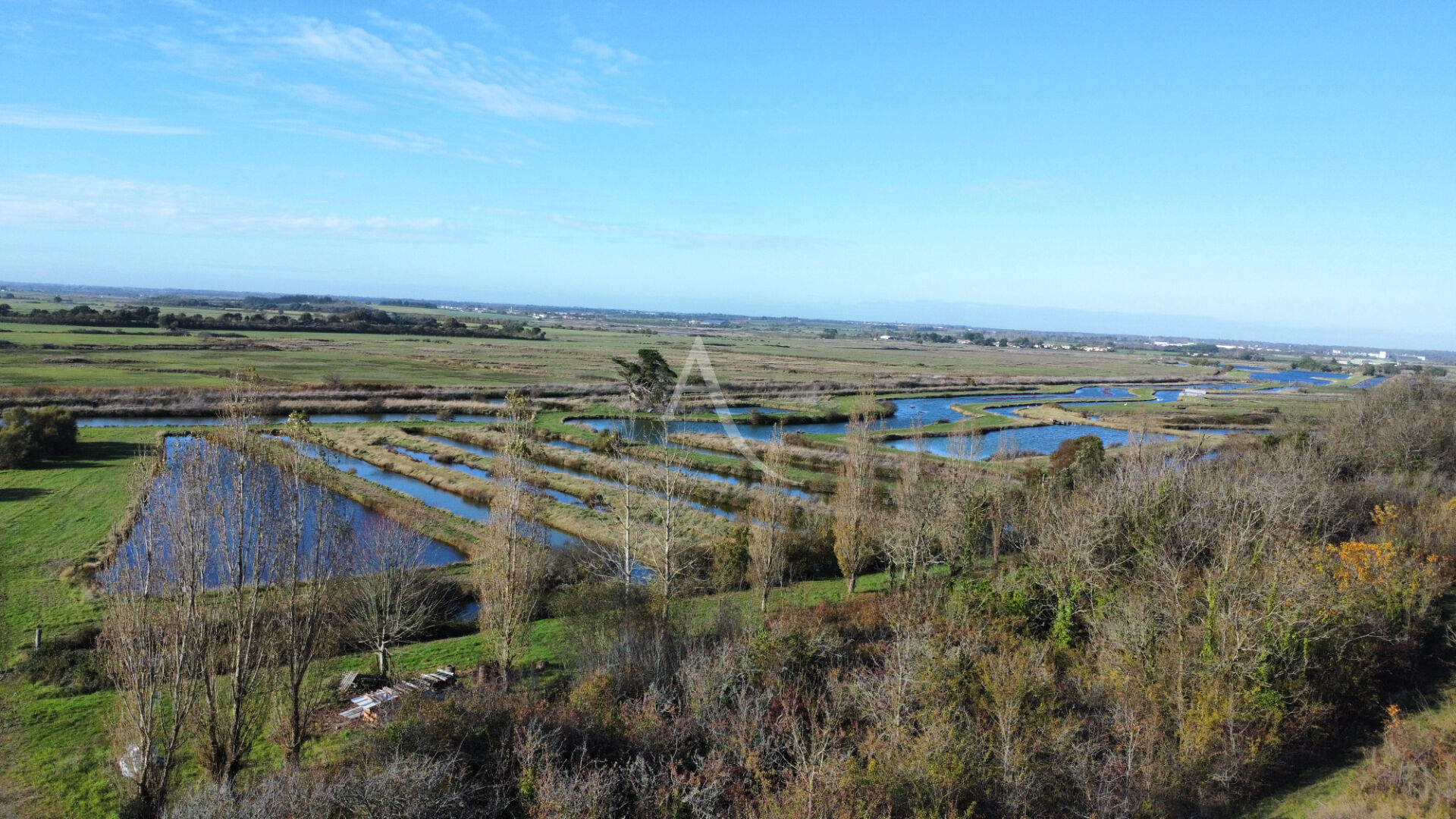 Photo Terrain Jard Sur Mer 2790 m2 image 2/3