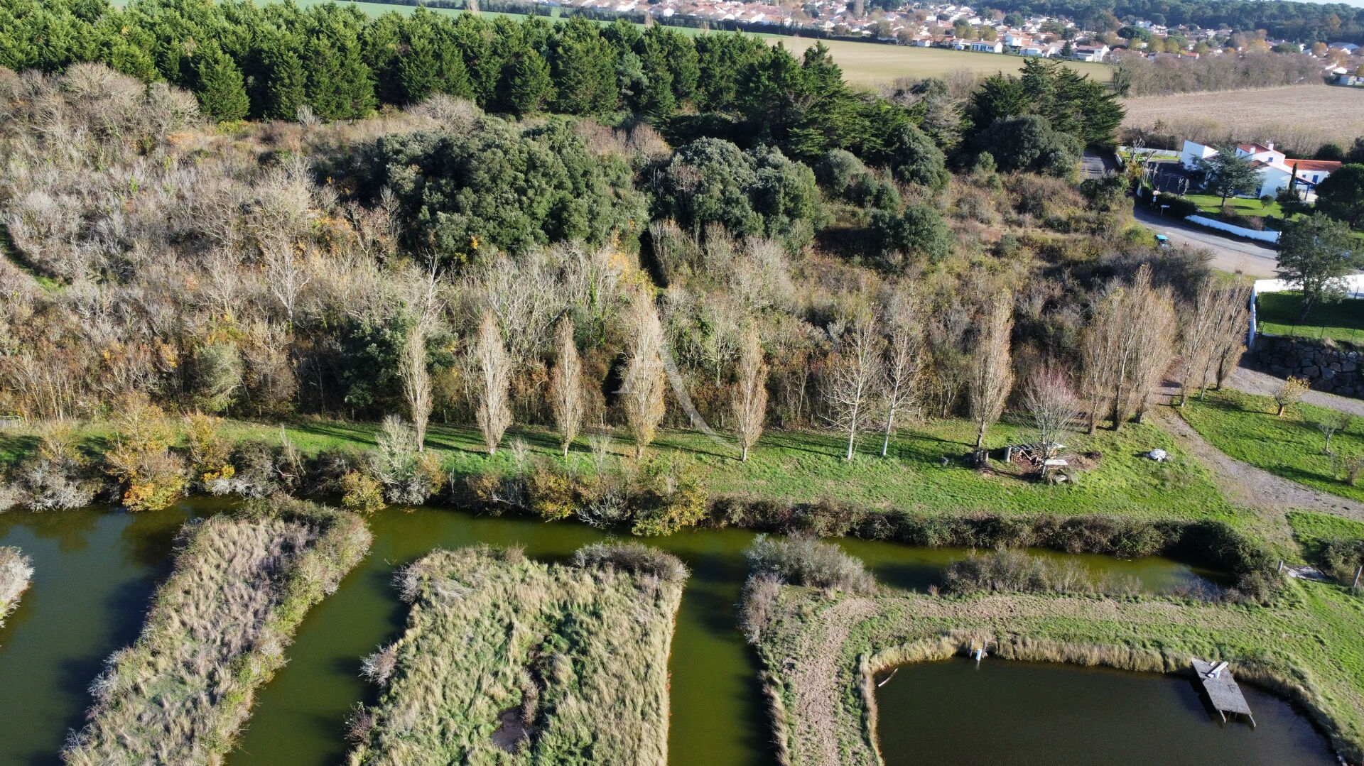 Photo Terrain Jard Sur Mer 2790 m2 image 3/3