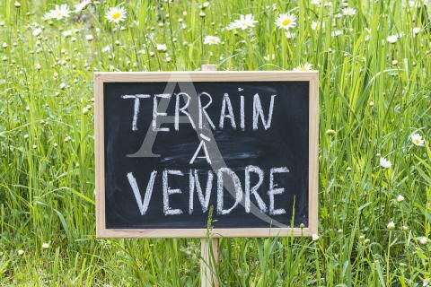 Photo TERRAIN A BATIR SUR BRIERES LES SCELLES image 2/3