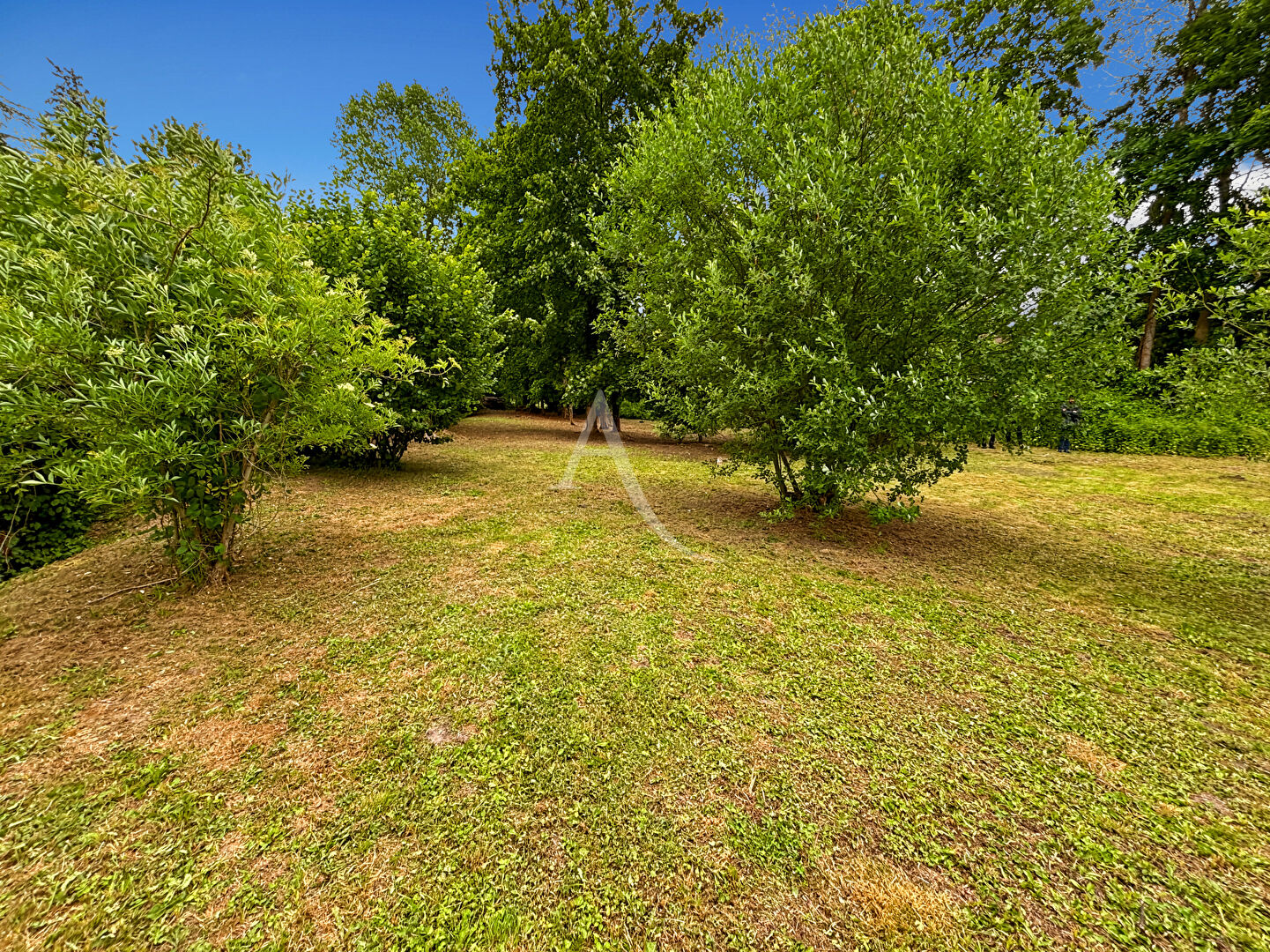 Photo TERRAIN À VENDRE - SACLAS CENTRE-VILLE - 1589 m² image 3/4