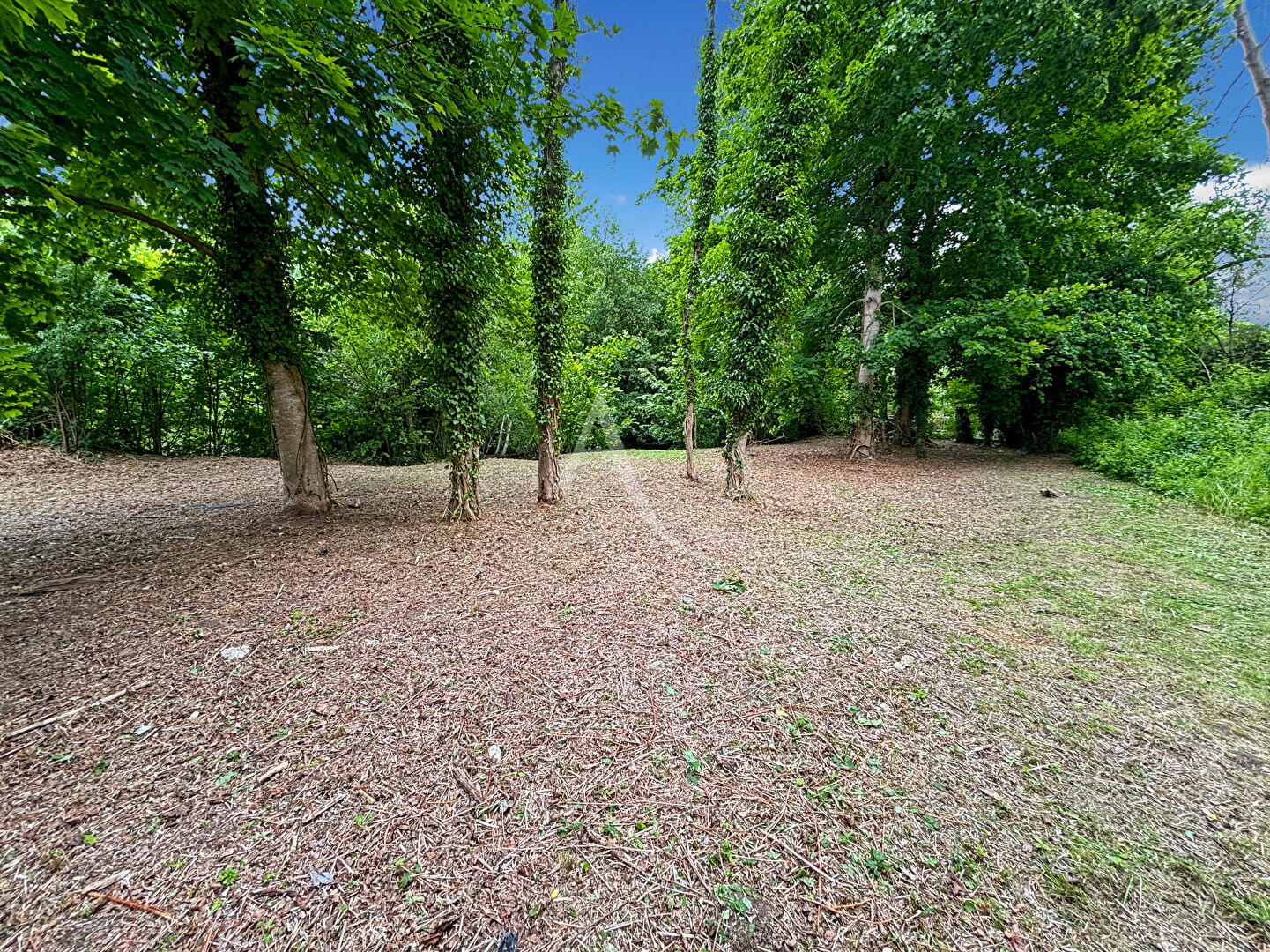 Photo TERRAIN À VENDRE - SACLAS CENTRE-VILLE - 1589 m² image 4/4