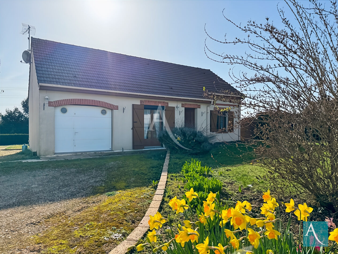 Agence immobilière de L'Adresse  MASSY OPERA - AGENCE DE LA MAIRIE