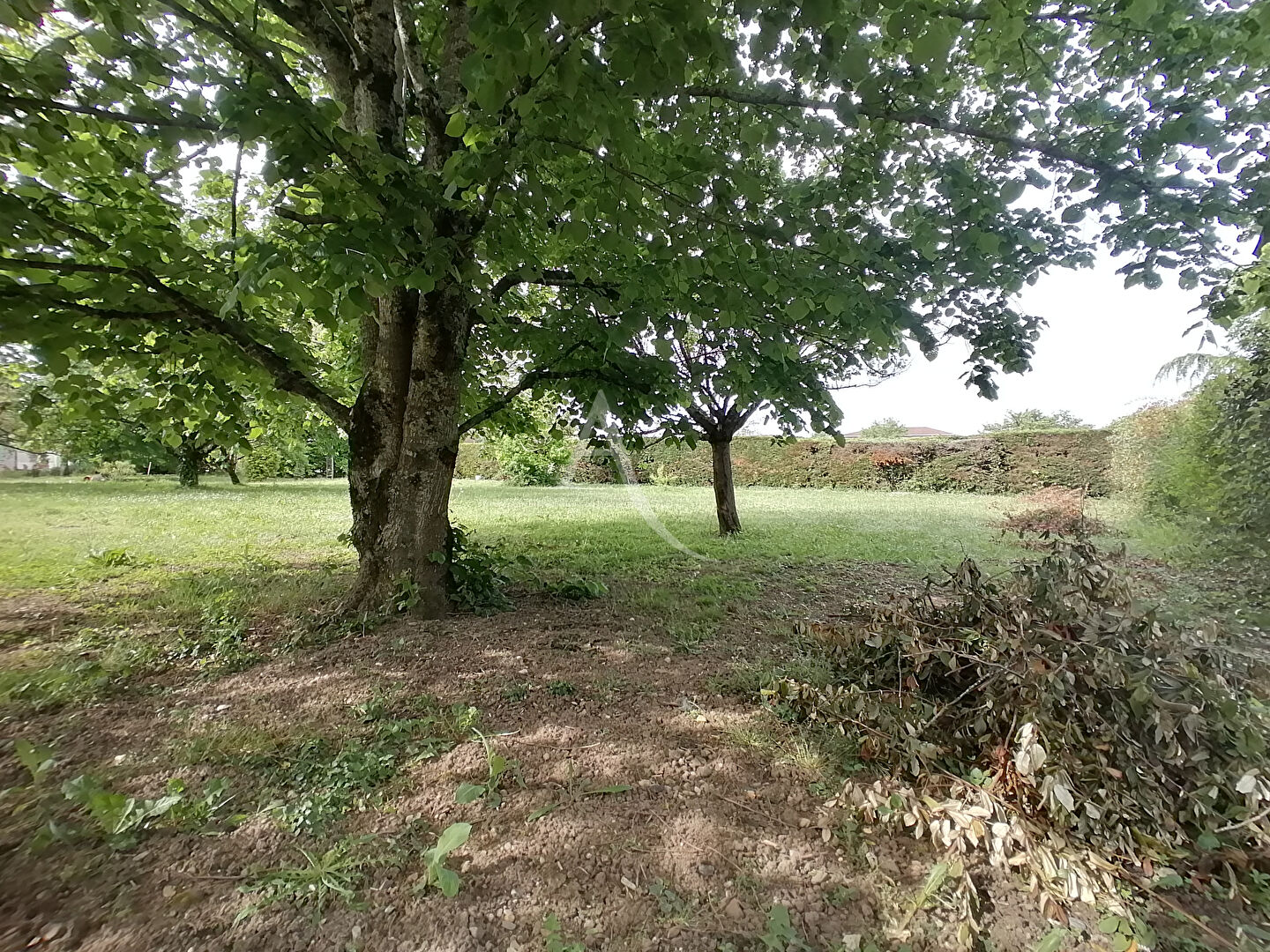 Gaillac , Terrain de 914 m²