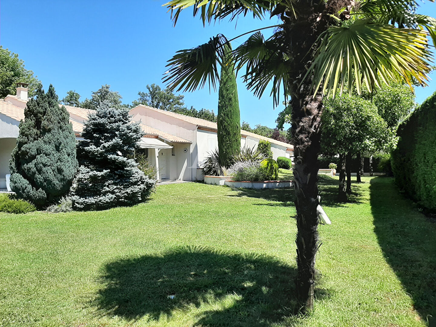 Agence immobilière de L'ADRESSE ALBI PATRIMOINE IMMOBILIER