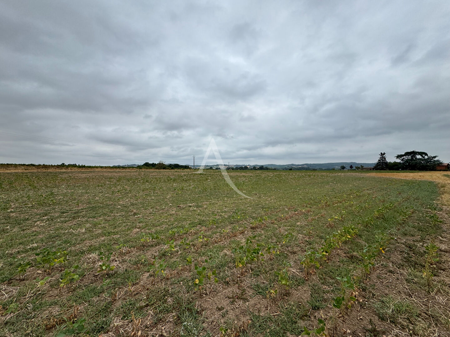 Agence immobilière de L'ADRESSE ALBI - PATRIMOINE IMMOBILIER - L'ADRESSE Gaillac Patrimoine Immobilier