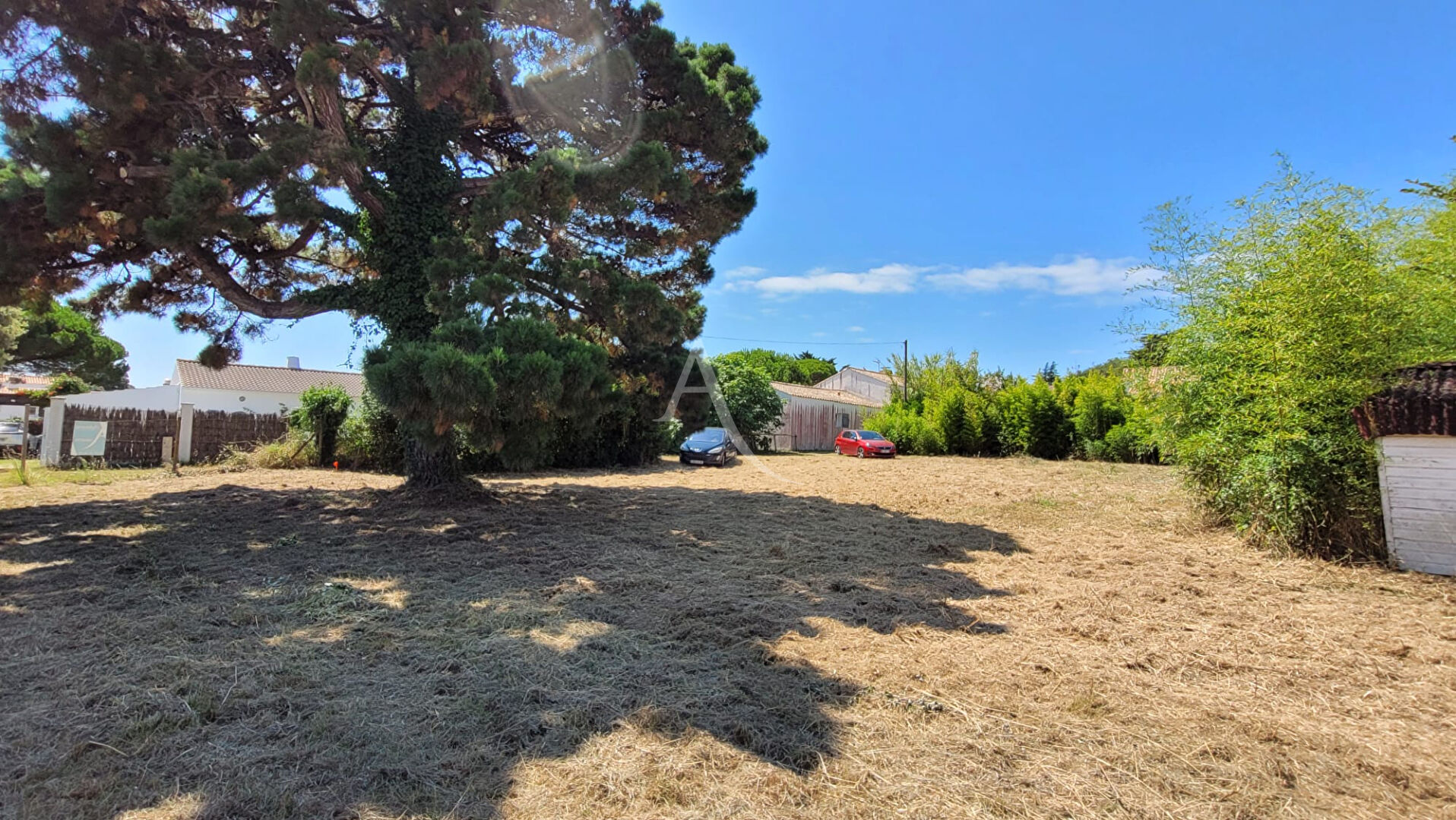 Photo Terrain Barbatre 901 m2 secteur de la Frandière image 3/3