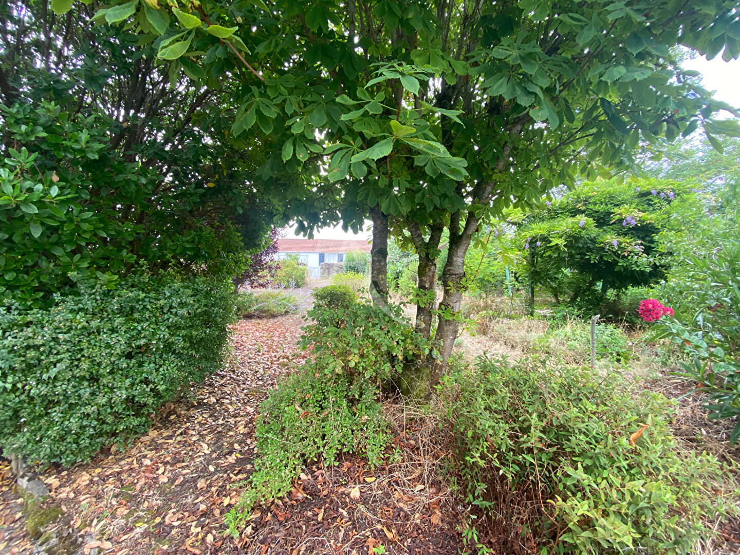 Photo Maison  5 pièce(s) image 2/6