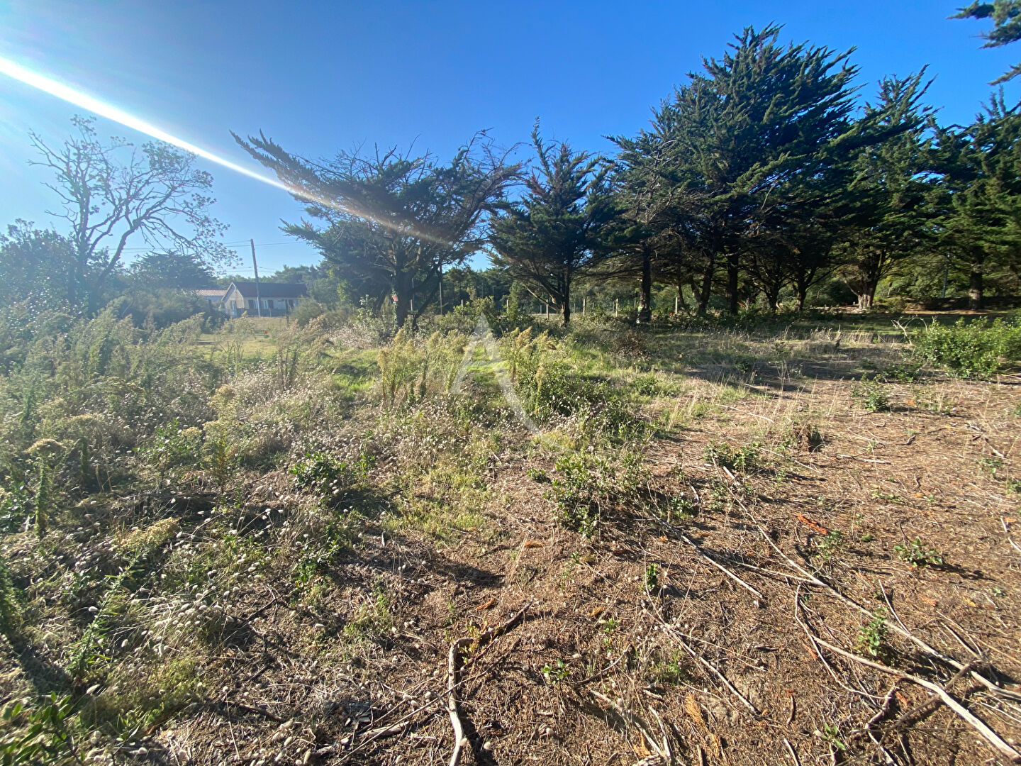 Agence immobilière de L'Adresse  bichon immobilier - L'ADRESSE bichon immobilier Barbatre