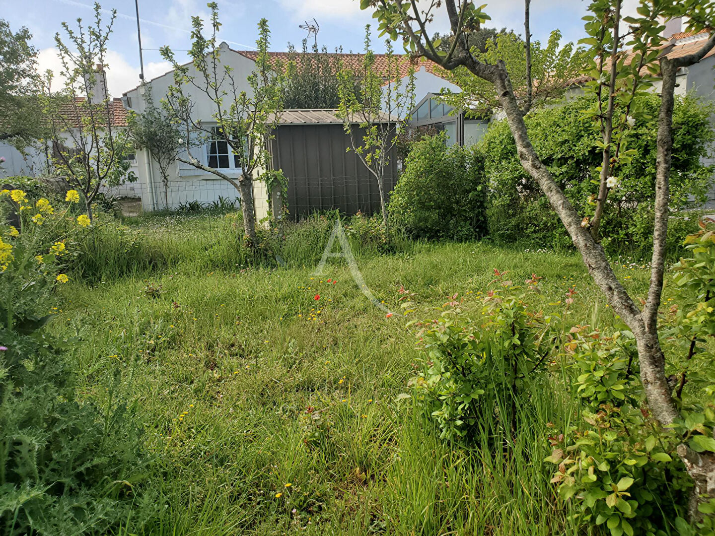 Agence immobilière de L'Adresse  bichon immobilier - L'ADRESSE bichon immobilier Barbatre