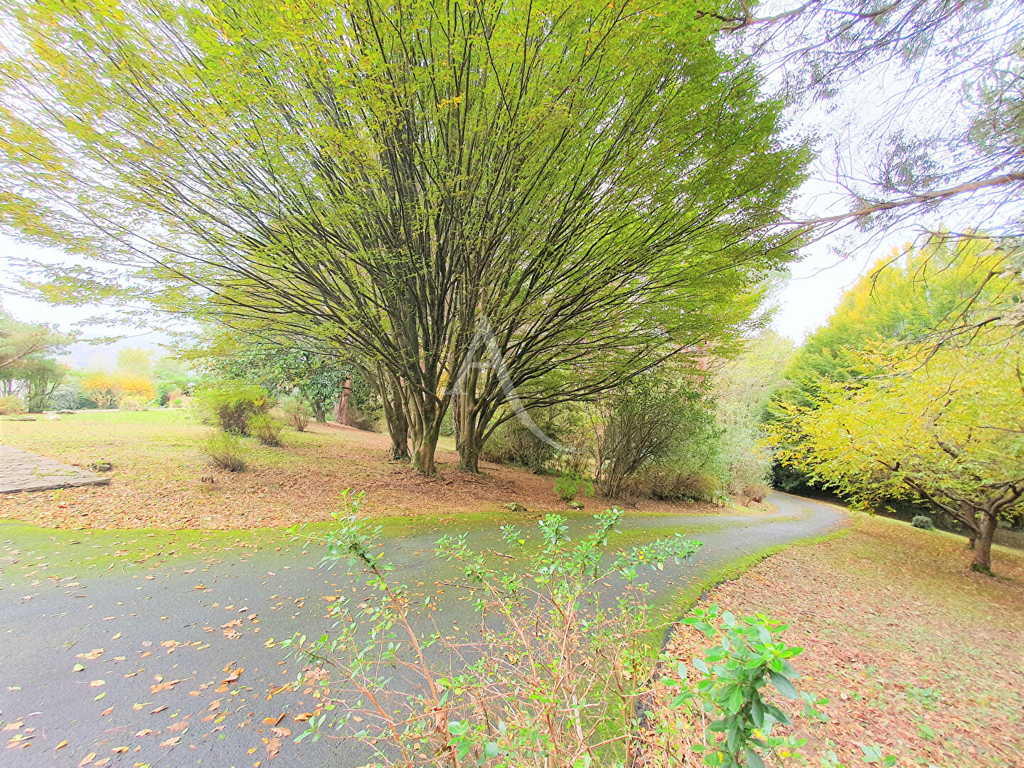 Photo Propriété de 310 m²  avec logement indépendant - Parc arboré - Piscine image 2/6